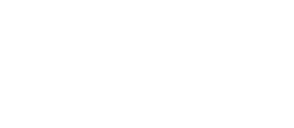 Mega Dispatch